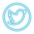 Twitter Icon Neon